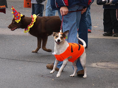Don't I look great in my costume?