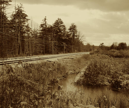 Sepia winter