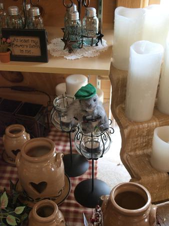 Squirrel on the hot seat