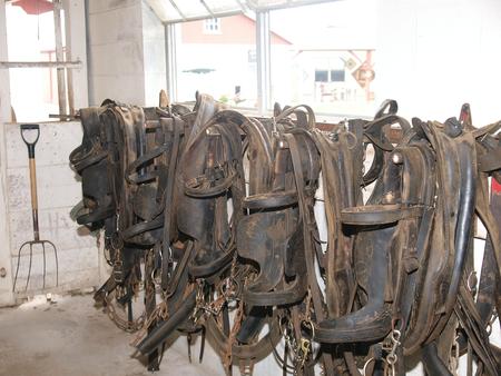 Horse tack