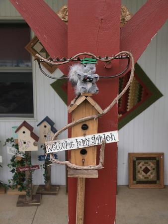 Waiting for the birds