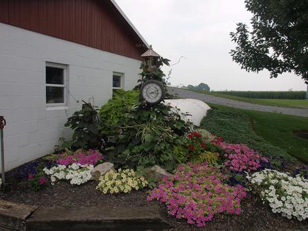 Clock and flowers