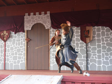 Quarterstaff vs. sword #2