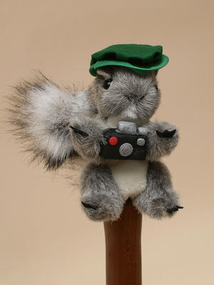 Ok, where's the renaissance faire?