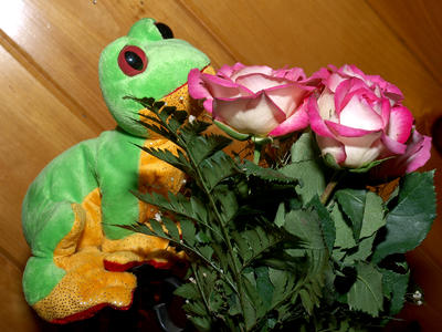 Stop and smell the roses