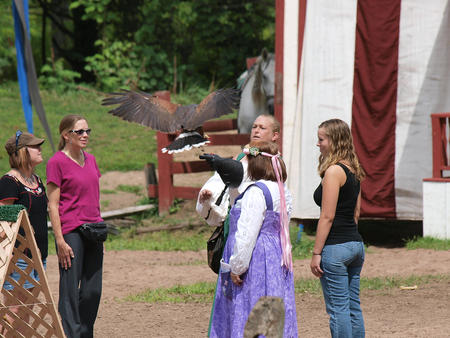 Birds of Prey show #2