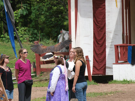 Birds of Prey show #3