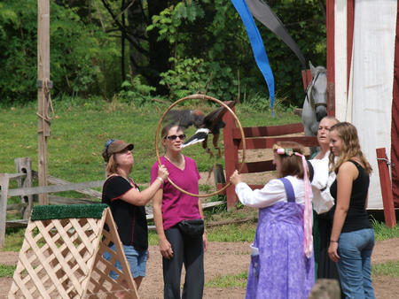 Birds of Prey show #4