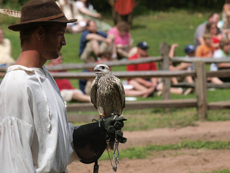 Birds of Prey show #5