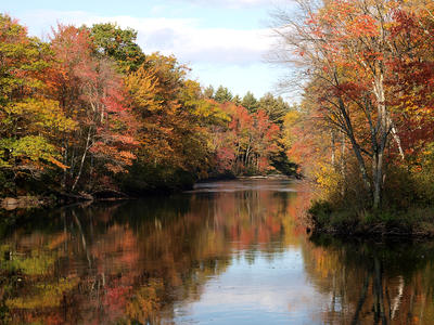 New Hampshire fall #2