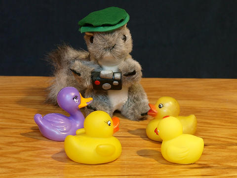 Time for your photo shoot