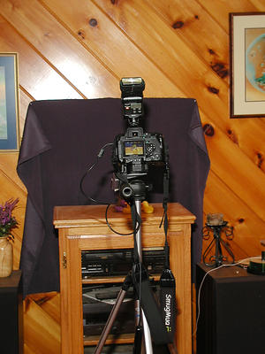 Setup for the Lucky Duck pictures