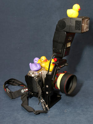 Let's go and take some pictures