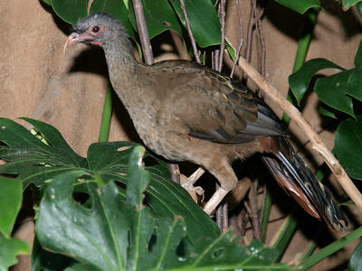 Put that camera away