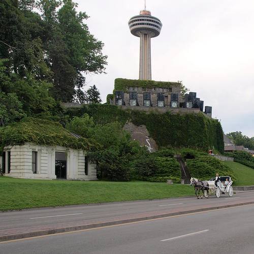 Horse drawn carriage