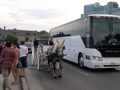 Horse drawn carriage #2