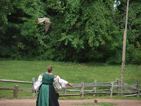 Birds of Prey show #7