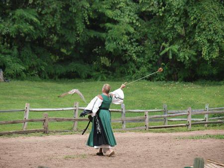 Birds of Prey show #8