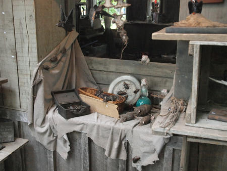 Rats, bats, and cockroaches. Oh my!