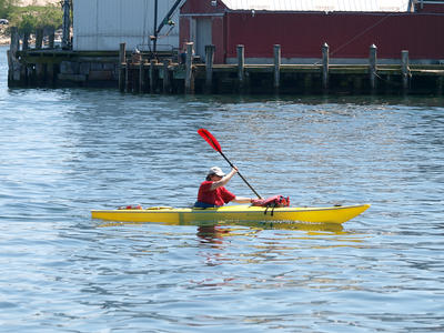 Kayak