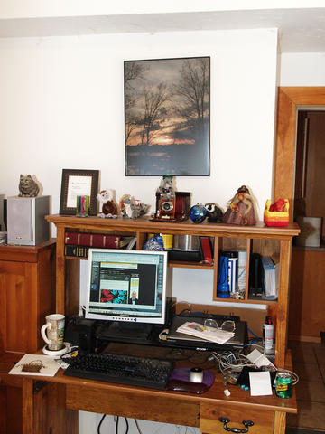 Stuffed animal display