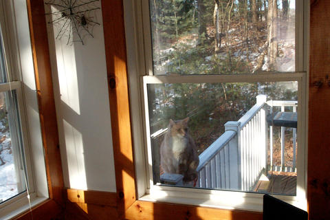 Aerosmith wanting to come in