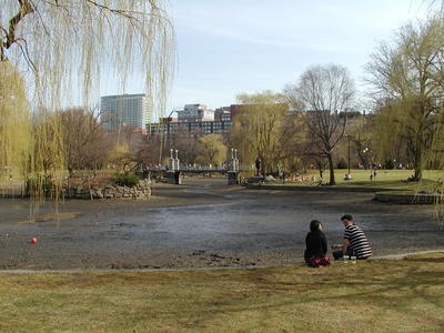 Need water for the pond