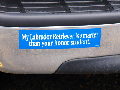 Bumper sticker