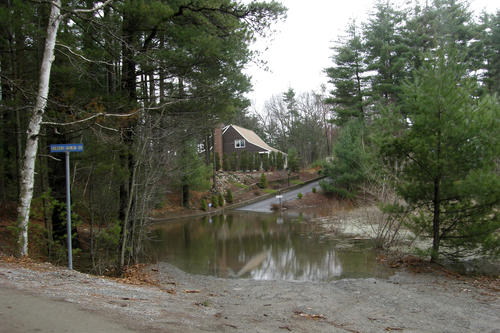 The great 2010 flood #3