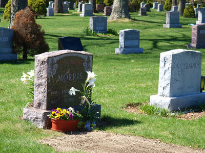 Flowers and graves #2