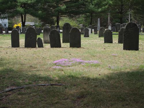 Spring in the graveyard