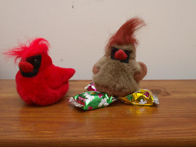 Look honey, I found some eggs!