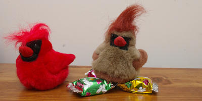 Look honey, I found some eggs! #2