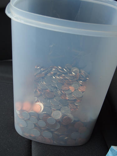 Gwen's tips for a few weeks