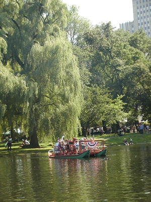 Swan boat #2