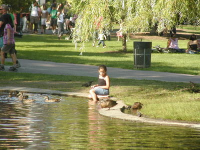 Enjoying the ducks #3