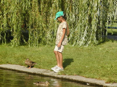 Enjoying the ducks #4