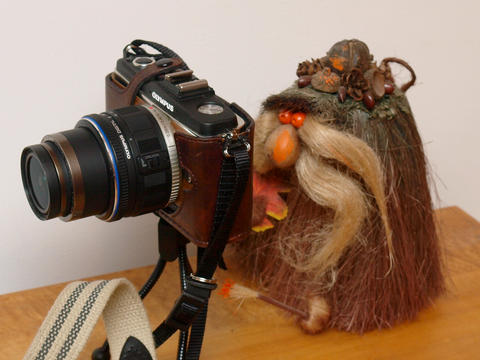 Even trolls should take some pictures