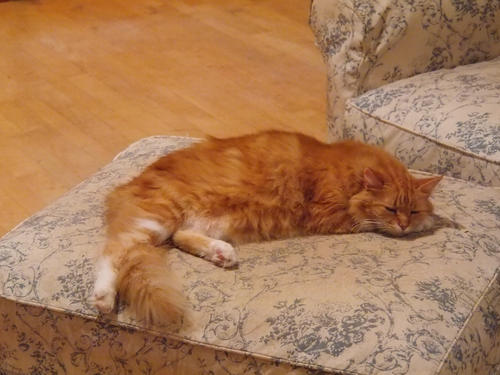 Temporarily, I don't want to go out