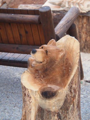 Bear head wood sculpture