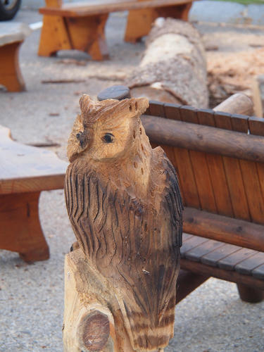 Owl wood sculpture