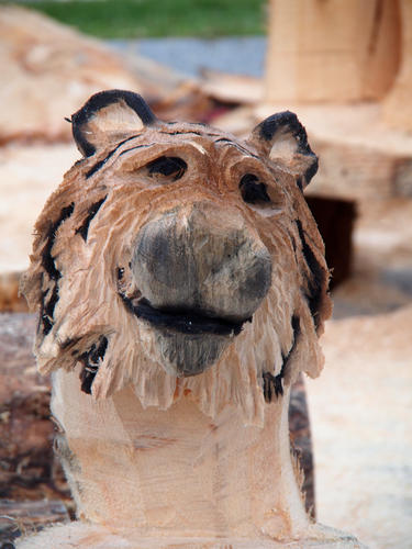 Tiger head sculpture