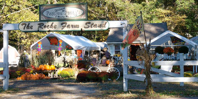 Farm stand