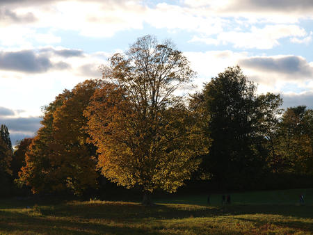 Fall contrast at Minuteman park