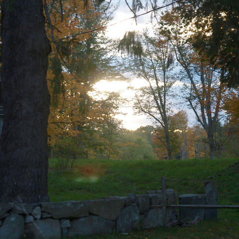 Fall at Minuteman park #5