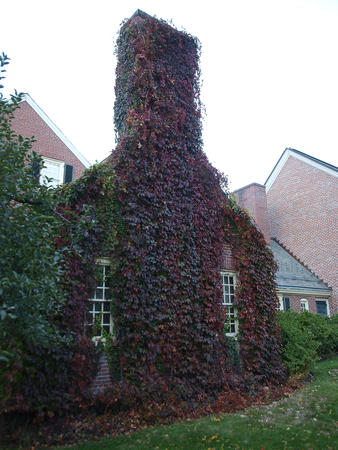 Ivy covered Concord museum #2
