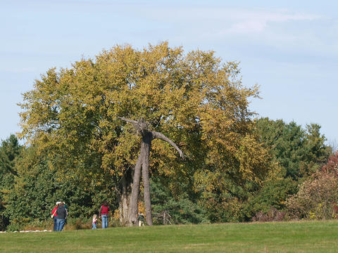 Wooden sculpture at the Fruitlands museum