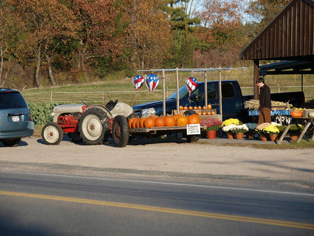 Pumpkins for sale #2