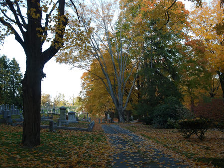 Andover cemetary in fall #10