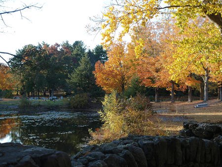 Andover cemetary in fall #15